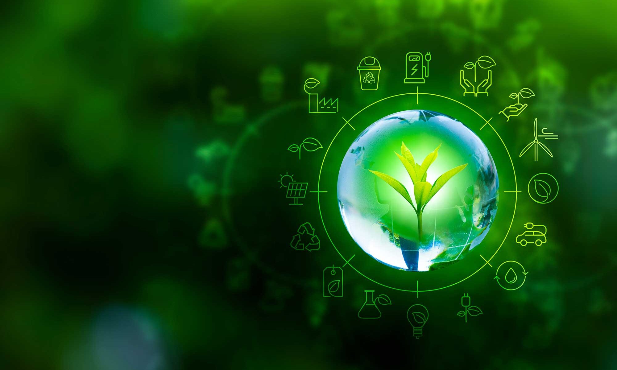 Read more about the article Embracing Sustainability: The Growing Bio-Based Materials Market