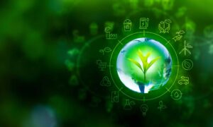 Read more about the article Embracing Sustainability: The Growing Bio-Based Materials Market