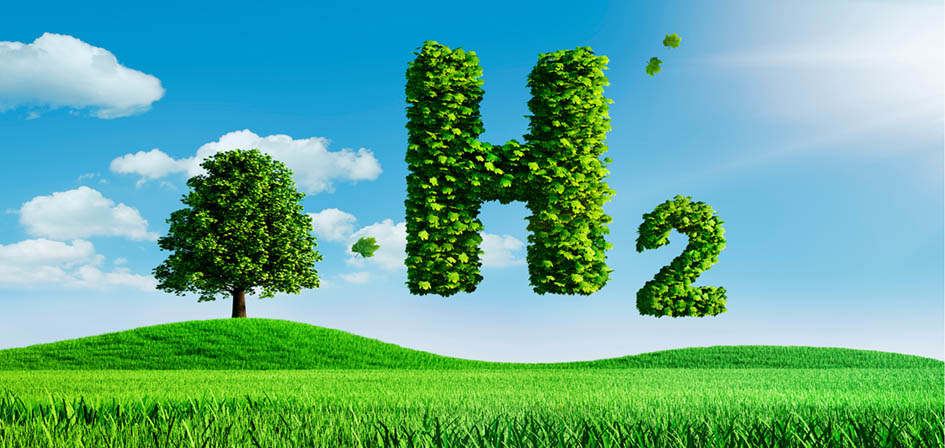 Read more about the article Unleashing the Potential: Emerging Trends in Green Hydrogen Market